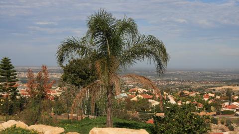 אלפש 035.jpg