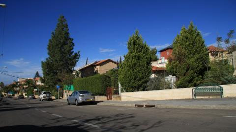 אלפש 043.jpg