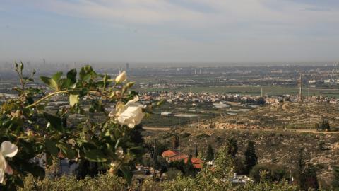 אלפש 063.jpg