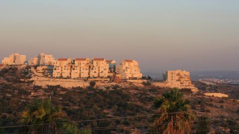תמונה 028.jpg