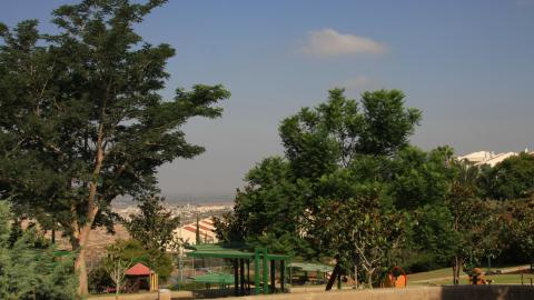 תמונה 054.jpg