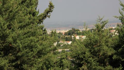 תמונה 059.jpg
