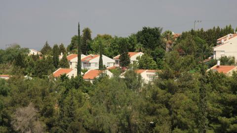 תמונה 067.jpg