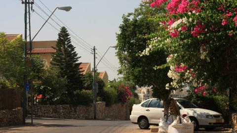תמונה 065.jpg