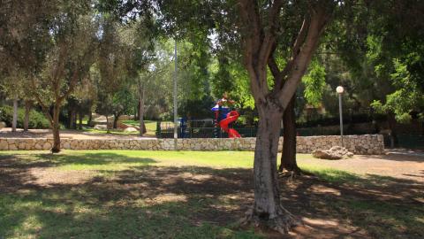 תמונה 081.jpg