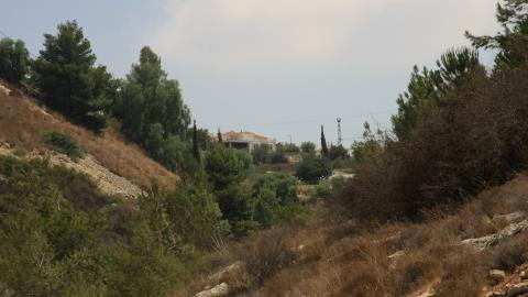 תמונה 098.jpg