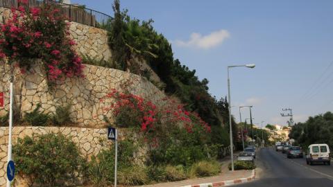 תמונה 118.jpg