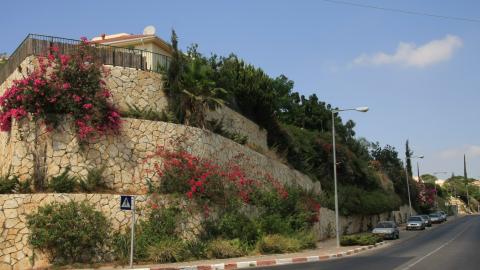 תמונה 119.jpg